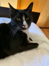 Tux -- the lover