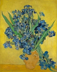 Vincent van Gogh 162