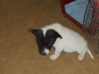This is Becky!