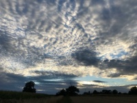 mackerel sky