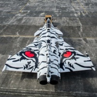 Dassault Rafale in one of the most amazing tiger schemes.