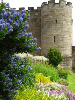 Stirling Castle Garden
