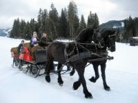 Zimní projížďka. Winter ride.