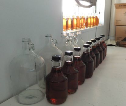 Just bottled maple syrup