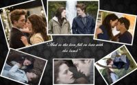 twilight