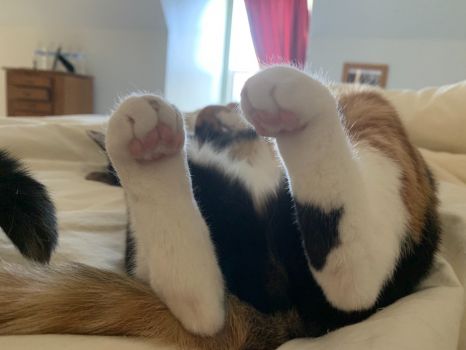 Hey mom, look at my pink toe beans!