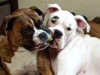 The Girls want same toy
