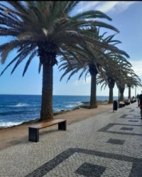 Portugal, Algarve, Luz