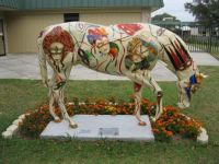 Ocala, FL horse #2, named Masquerade