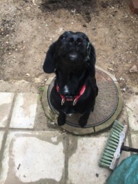 34560785_10156051693130100_8004434767489531904_n