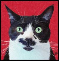 Cats I Know - Salvador - Portrait Painting