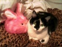 Joey w/ his tribble-bunny!