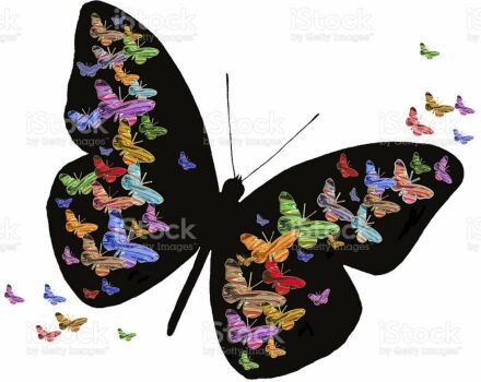 Beautiful butterfly fantasy!