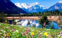 Spring Scene