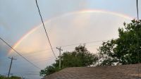 Rainbow for Impie ...