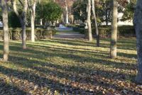 Jardines en Aranjuez