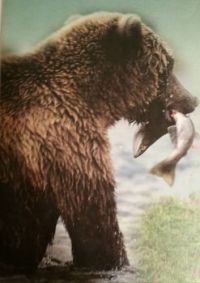 Kodiak Bear with Fish