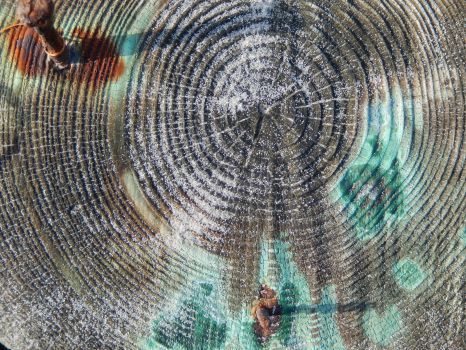 Patterns on wood
