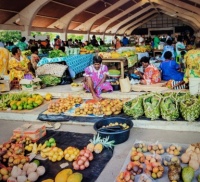farmer's market Vanuatu island
