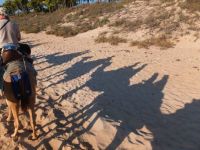 Camels' and riders' silhouettes, Cable Beach, Oz, Sept 2013