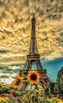 Life Beside Eiffel Tower