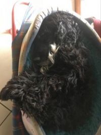 Me sleeps zzzzz
