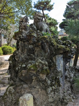 Laughing Lion