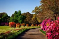 bellingrath-gardens-alabama-landscape-scenic-158028
