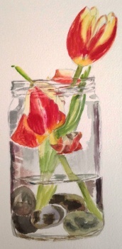 p-Flowers_in_a_vase_with_water_and_grey_background_--_30_of_33
