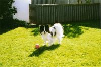 Tobias fun in the garden