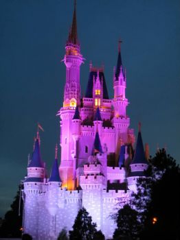 Purple castle