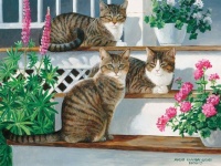 love-of-cats-1001586-wallpaper