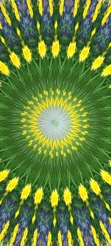 Kaleido