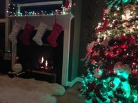 Our Summerwood Christmas, Lake Gaston, NC