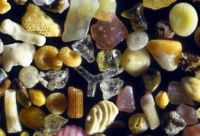 Sand magnified 250 times