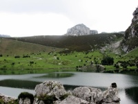 Lago de Covadonga. Sept. 2014