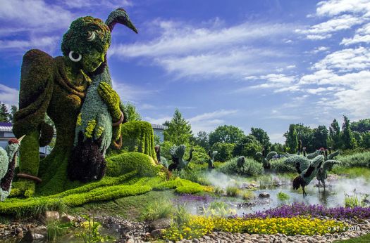 Amazing-Plant-Sculptures-In-Montreal-Gardens