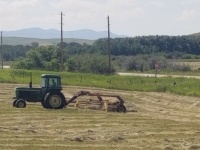 summer hay raking