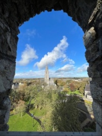 View From Nenagh Castle