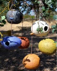 BirdHouses