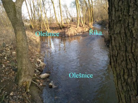 Soutok potoků    (Confluence of streams)