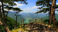Summer Trail