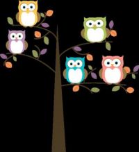 colorful-owls-in-pretty-tree