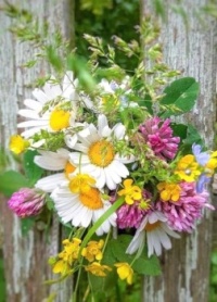 Bloemen