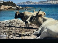 On the beach, Italian Coast