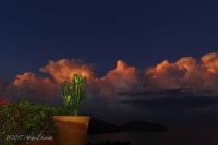 Cactus sunrise, Zihuatanejo, Mexico