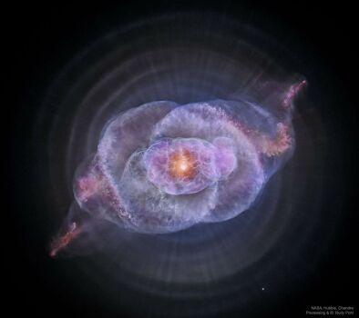 “The Cat's Eye Nebula in Optical and X-ray”