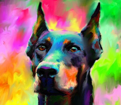 Solve Doberman Pincher jigsaw puzzle online with 182 pieces