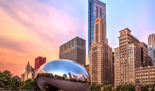 Solve The Bean jigsaw puzzle online with 308 pieces