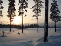 Finland sunset